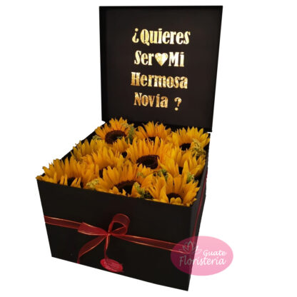 Girasoles en caja negra