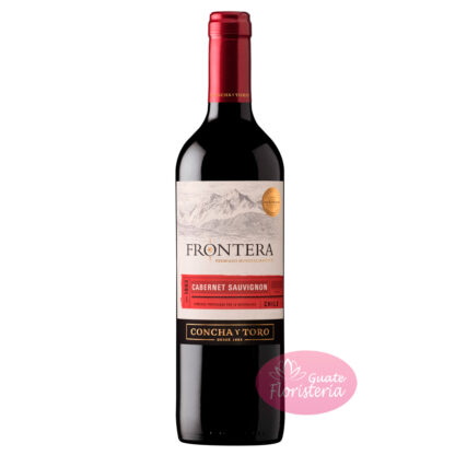 Botella vino Frontera concha y toro