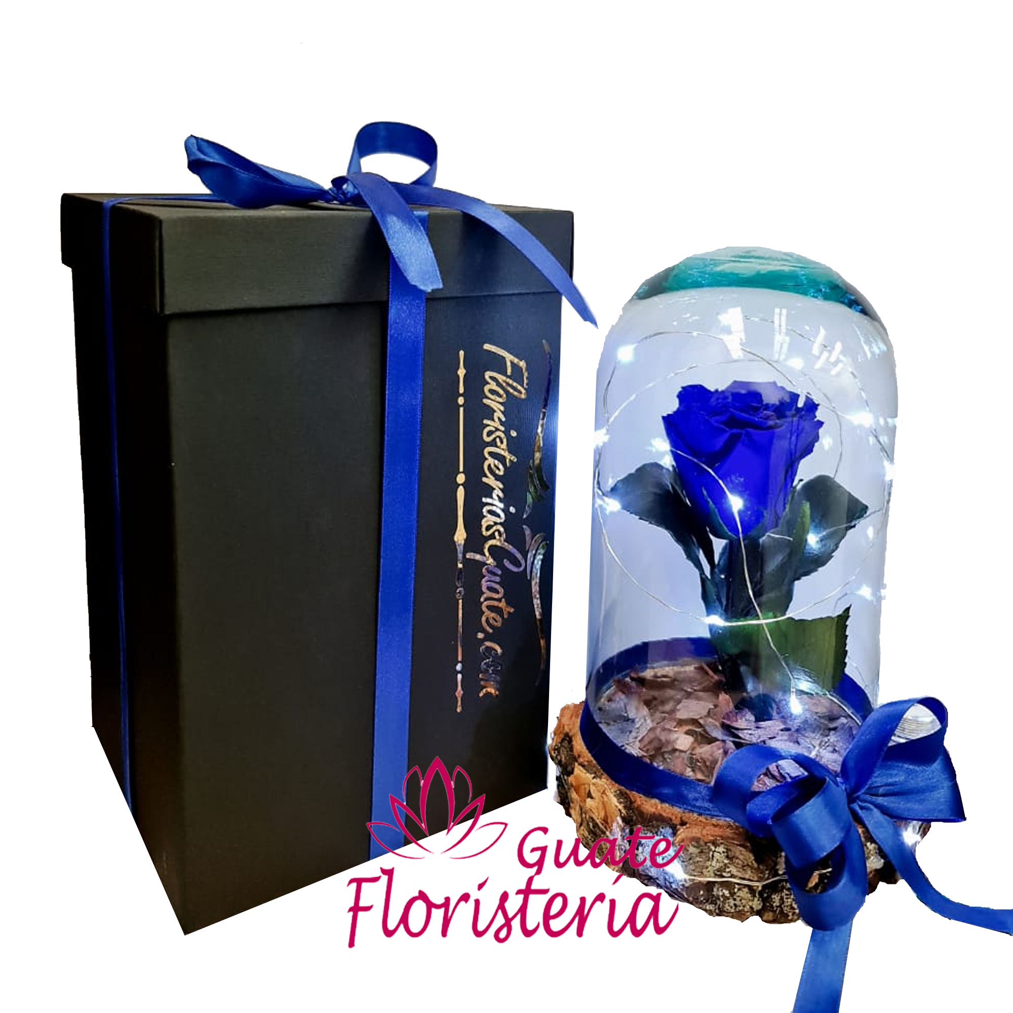 Rosa preservada Azul – Floristerías Guate